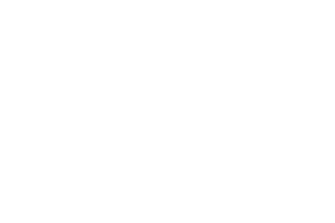 Logo weiß LVM Felix Kern
